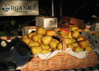 Organic Pears